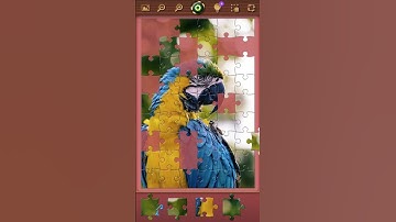 Favorite Puzzles - parrot puzle (android, ios, windows, web)