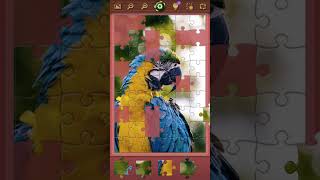 Favorite Puzzles - parrot puzle (android, ios, windows, web) screenshot 3