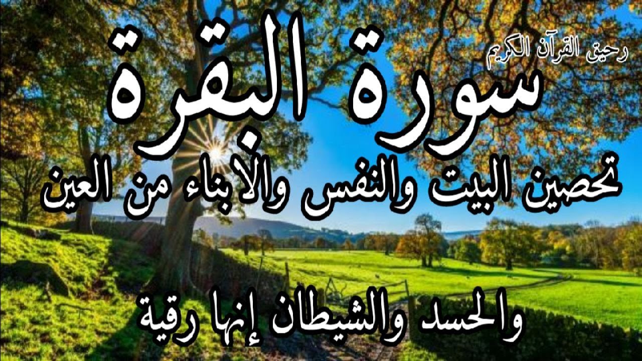 سورةالبقرة#💥طاردةالشياطين🥸وتبطل السحروالمس والعين👁والحسد وحفظ وتحصين البيت🏡من كل شربإذن الله/💥