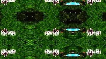 Intro contest winner (my new intro) ❤️