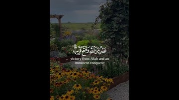 وأخرى تحبونها نصر من الله وفتح قريب وبشر المؤمنين | سورة الصف | القارئ أحمد خضر