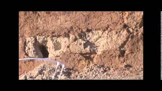 DL-44 blaster pistol  vs 50 calibre Bushmaster rifle with armour piercing rounds