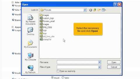 Tutorial: How to update the site logo in DotNetNuke | LayerOnline Web Hosting