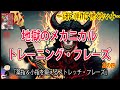 【其の四】母なる指板を求めて~最終章ストレッチ編~【地獄本】反復&加速練習 「素敵です(著者談)」