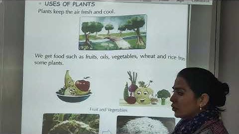 NCERT | CLASS I | EVS | Ch 14 | Fascinating world of plant | Part 1