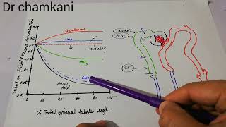 Renal physiology 92 | Concentration of solutes along proximal tubule | Urine formation