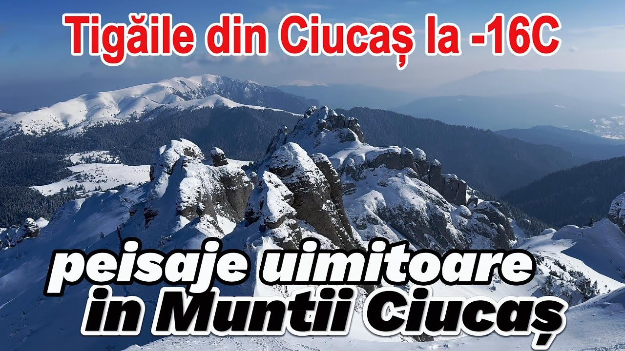 PEISAJE de iarnă la înălțime în Munții Ciucaș, GER si zăpadă proaspată, Brașov România, 2025