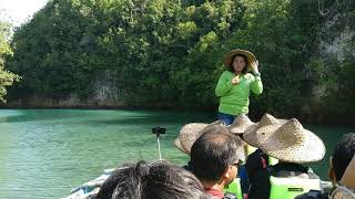 Havanese Sara -  Bojo river cruise at Cebu