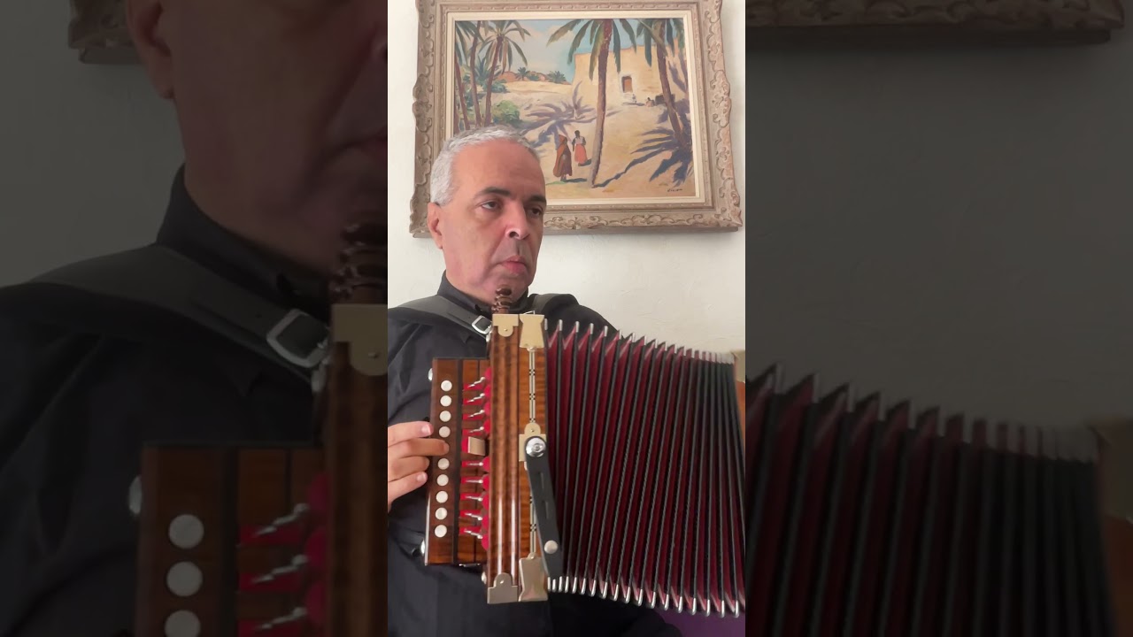 N. Lygeros: Julia Clifford’s inside ornament. (Cajun Accordion Martin). 