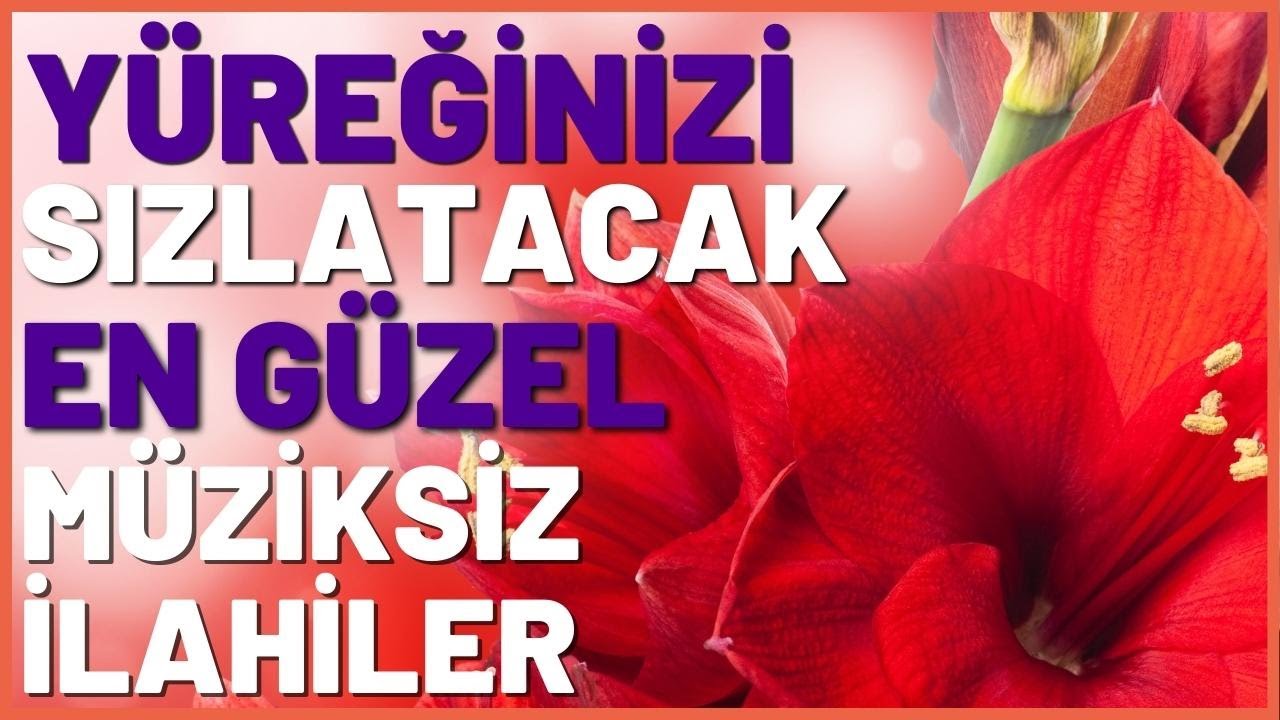 Yüreğinizi Sızlatacak En Güzel Müziksiz İlahiler ve Salavat | Mehmet Erarabacı