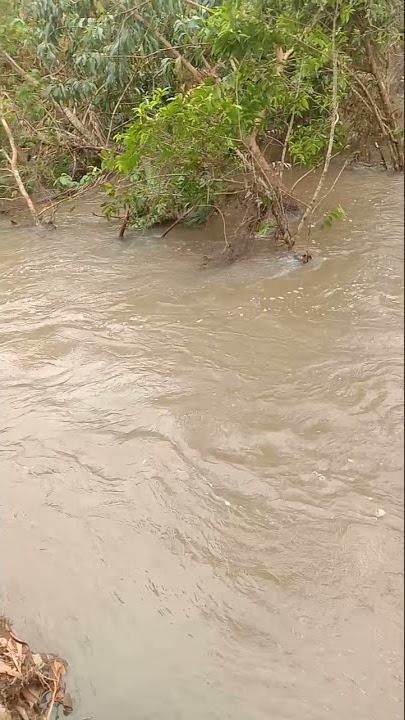 mesin Robin di kulong hanyut terbawa arus #shorts