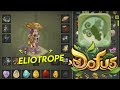 Eliotrope ultra violent sur dofus 