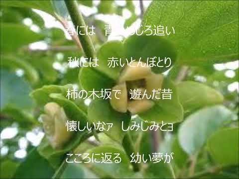 柿の木坂の家　唄　青木光一　cover 太陽と月