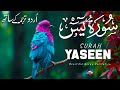 Surah Yasin (Yaseen) سورة يس | Heart Touching &amp; Peaceful Quran Recitation for Healing #surahyasin