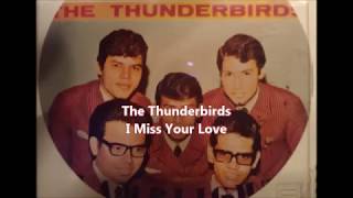 The Thunderbirds    I Miss Your Love
