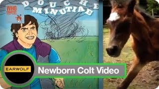 Newborn Baby Colt Video | Who Charted? | Video Podcast Network