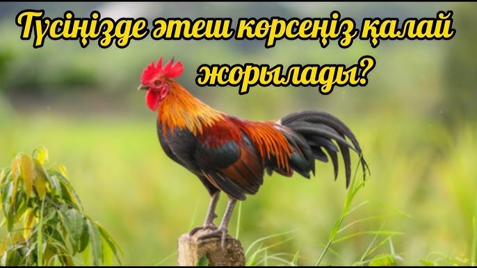 Жыныстық қатынас кезінде презерватив жатырдың ішінде аздап қалды.