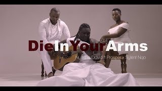Video thumbnail of "Nyasha David Ft Sylent Nqo & Prosper - Die in your arms (Official Video)"