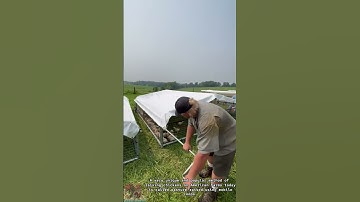 Chicken Farming: Mobile Chicken Coop