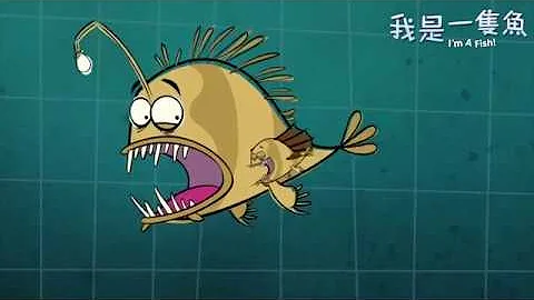 我是一只鱼_𩽾𩾌鱼 - 天天要闻