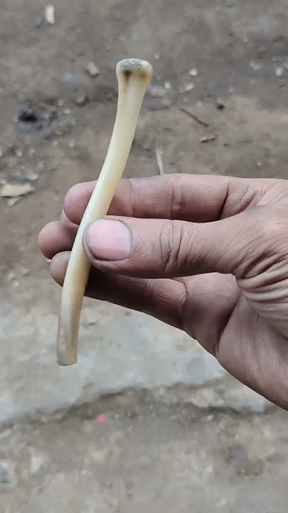 proses buat pipa rokok bahan tulang kelelawar #pipa rokok,# pipa rokok unik#pipa rokok tulang kalong
