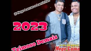 Video thumbnail of "Nego Lamas e Os Laminhas Forrozeiros 23"