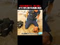 子供の悪戯で父、雷に遭い、ガラス砂に埋まる危機に陥る！#shortsfeed #映画 #映画解説