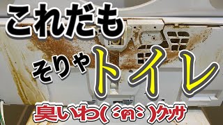 知っておくべき【トイレが臭い原因】立ちションし続けたトイレの末路【タカラスタンダード】