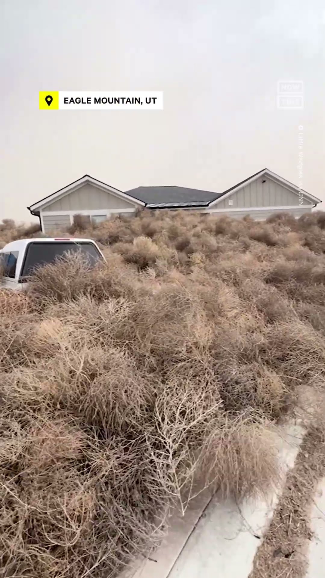 Tumbleweed Dust Devil!