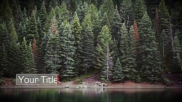 Professional Lower Thirds   Viddyoze live action