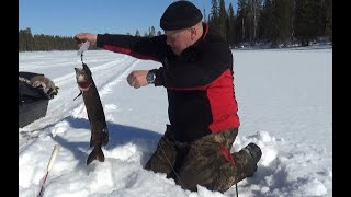 ВОТ ЭТО ЗАКРЫТИЕ СЕЗОНА, ОТЛИЧНАЯ РЫБАЛКА НА ТАЁЖНЫХ ОЗЁРАХ И ОТДЫХ ВИЗБЕ