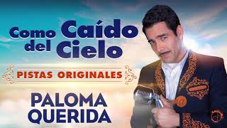 Video voorbeeld van "Paloma Querida 🎙- Omar Chaparro [Pistas Originales]"