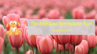 The Webkinz Springtime Tag! (by LovelyKittyKinz)