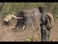 This is Africa / This is Africa Five - Season 4 - Episode 13 - Dangerous Elephant.