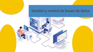 Gestión y control de bases de datos