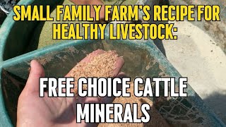 Essential Minerals to Boost Cattle Health