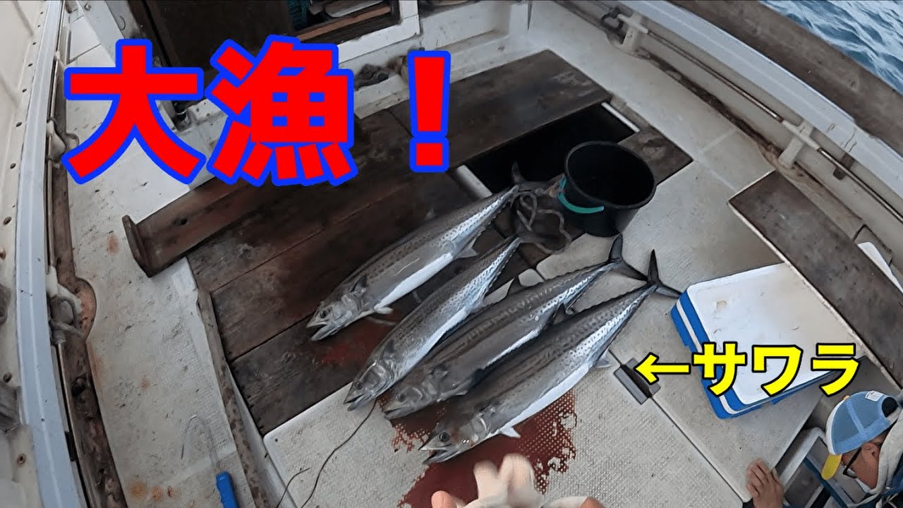 [衝撃]サワラ釣りに行ったら○匹連続で釣れた！！