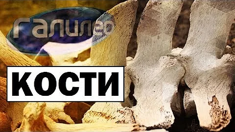 Галилео ☠ Как определить возраст по костям?