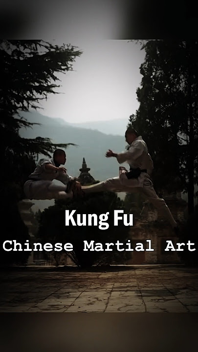 5 Seni Bela Diri Paling Ampuh di Dunia!☠️ #shortsfeed #martialarts #centurymartialarts