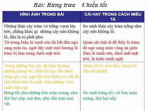 Tập làm văn: Luyện tập tả cảnh