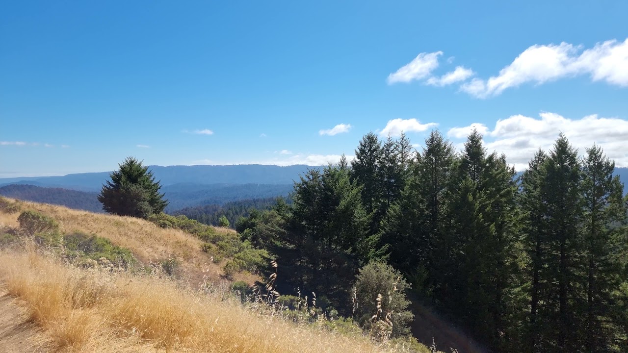 Santa Cruz Mountains Viewpoint - uncut 4K
