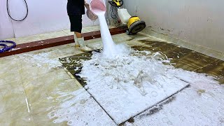 It took me 3 days to clean my carpet  Flooded carpet  relaxing carpet cleaning video ASMR