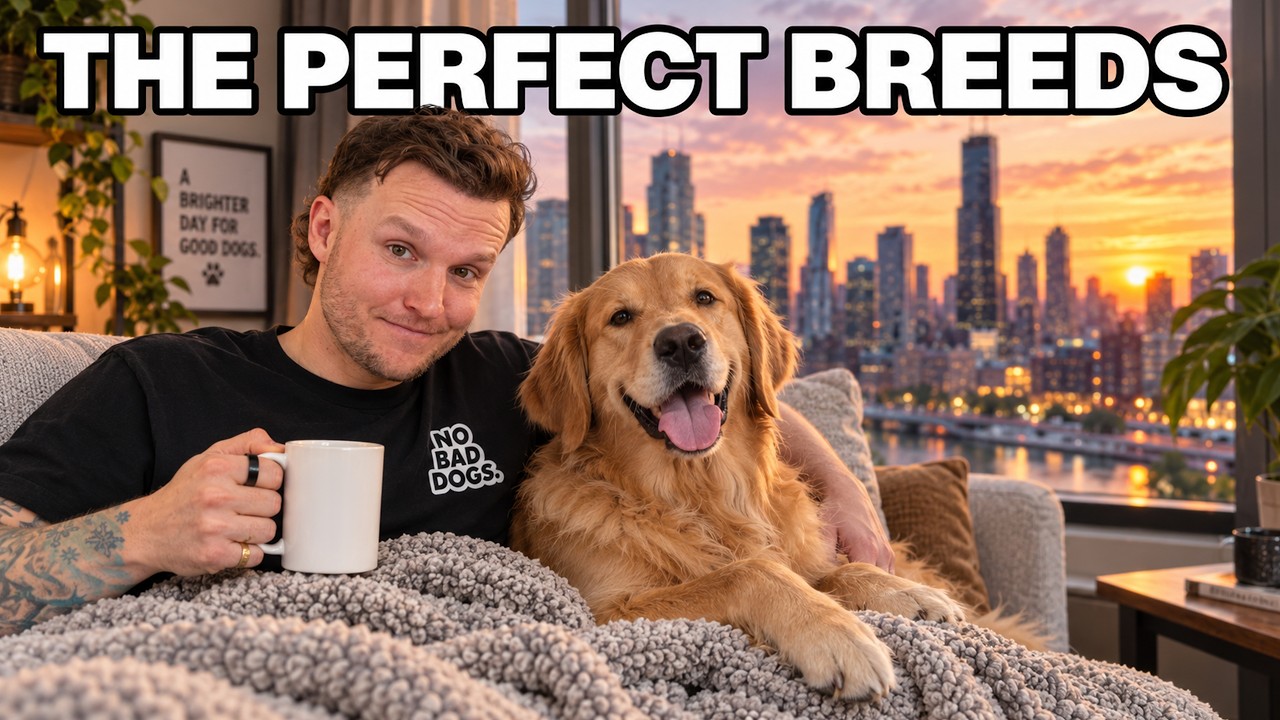 Latest Title & Thumbnail