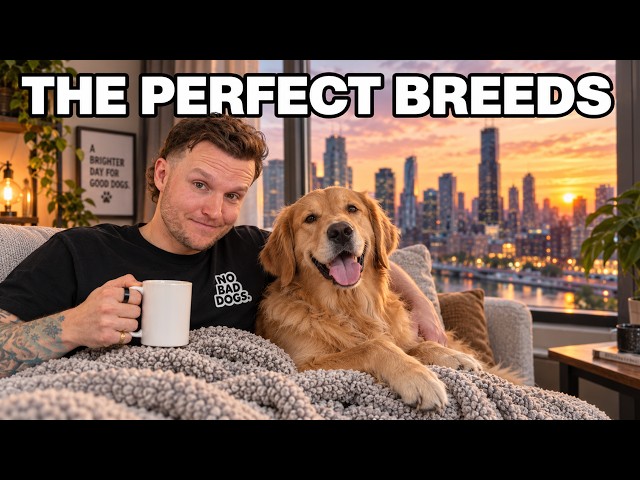 Thumbnail for 5 Dog Breeds That THRIVE In The City!