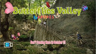 BUTTERFLIES VALLEY II RHODES GREECE II  DON'T COMING HERE IN OCTOBER I #butterflies #rhodes #greece