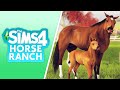 SIMS 4 HORSE RANCH OFFICIAL ANNOUNCEMENT NEXT WEEK???🤔🐴