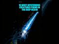 10 Most Mysterious Creatures Found In The Deep Ocean