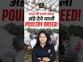 India's Highest Egg Laying Chicken Breed! #chickenbreeds #poultryfarming #poultryscience