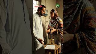 Electricity Subsidy 200 Units Ending BISP Only From January 2027 #breakingnews #news