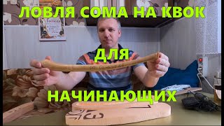 Ловля сома на квок, для начинающих \ #квок #сом #сомнаквок